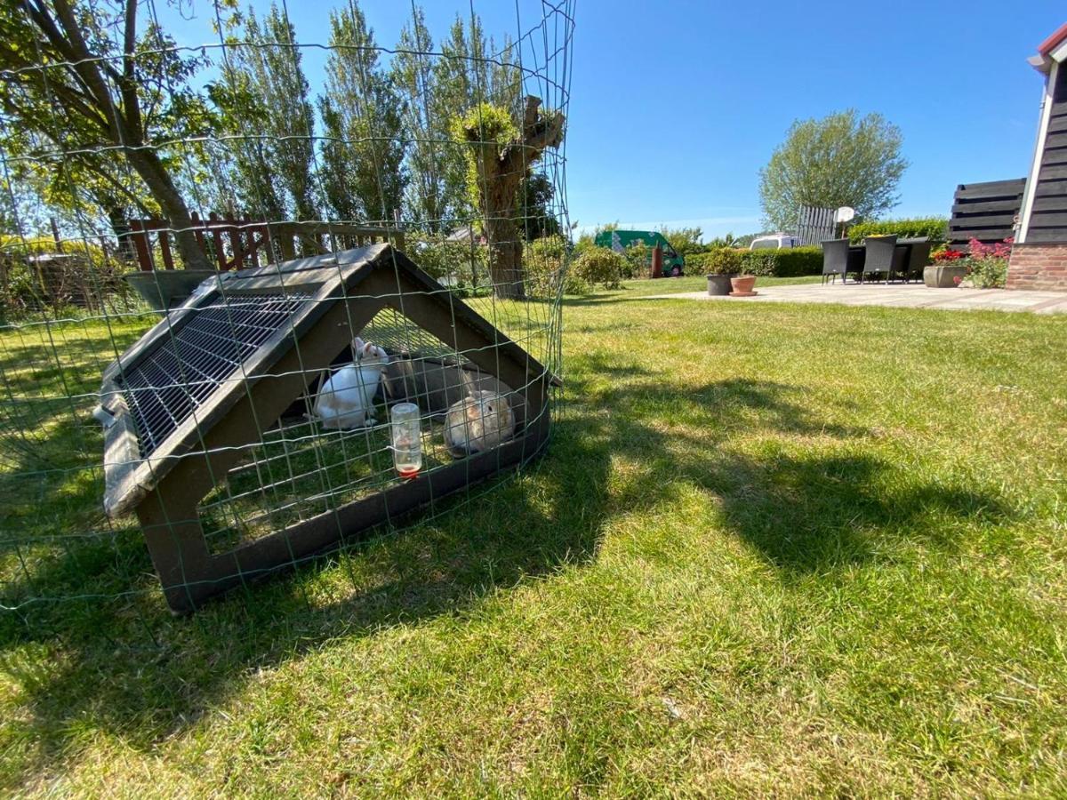 Appartement 5 Vrouwenpolder Dış mekan fotoğraf